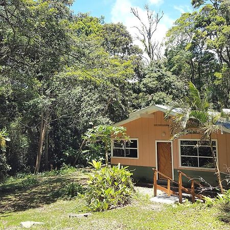 Forest Garden House Монте-Верде Экстерьер фото