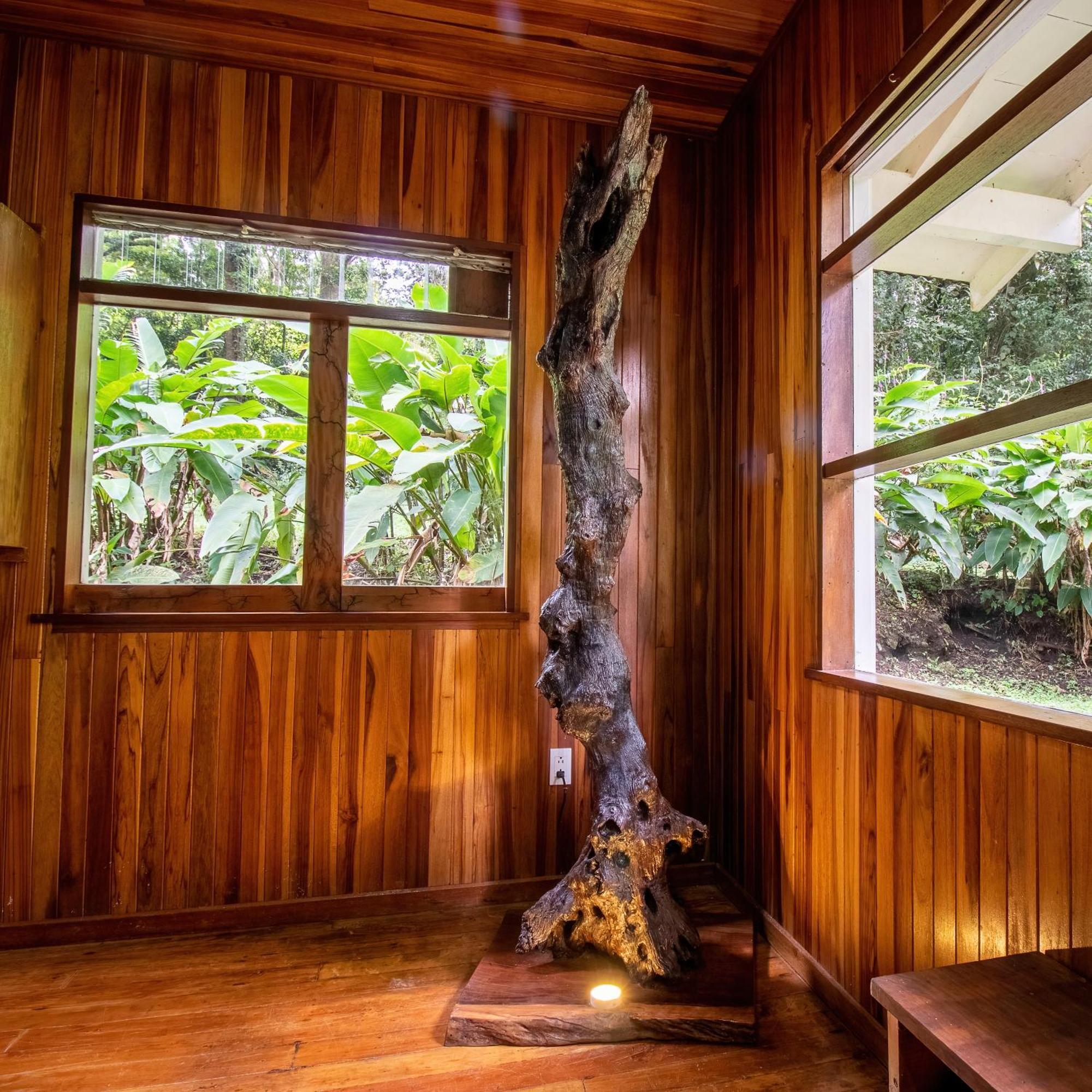 Forest Garden House Монте-Верде Экстерьер фото